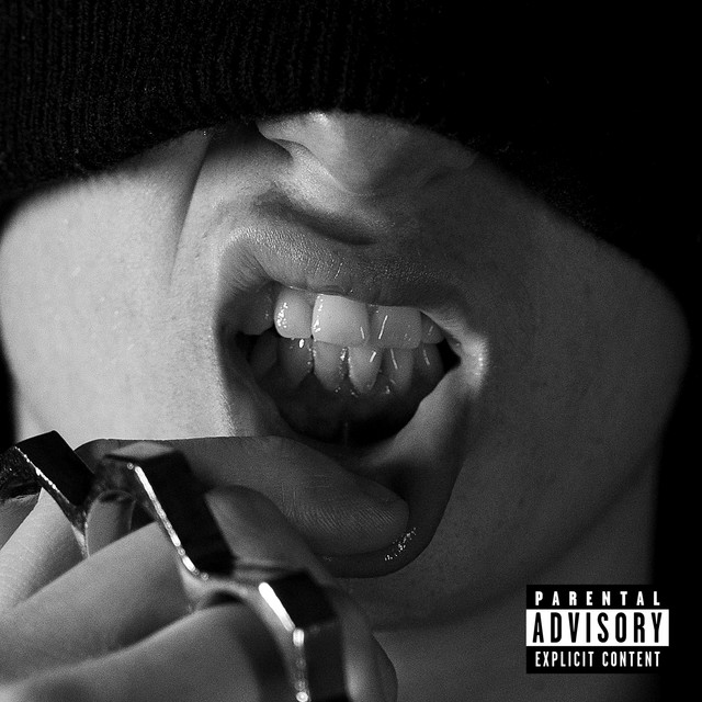 CROOK cover